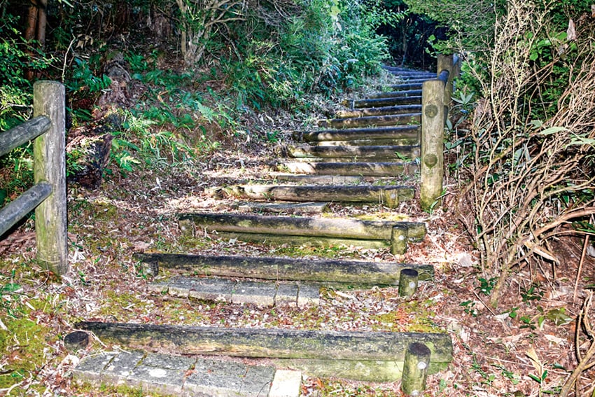 登山道