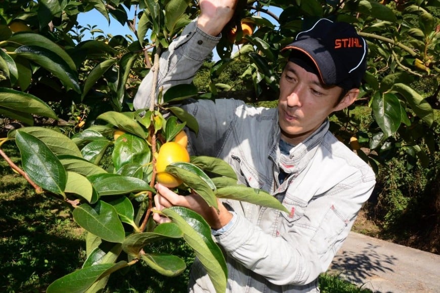 生産者と農産物