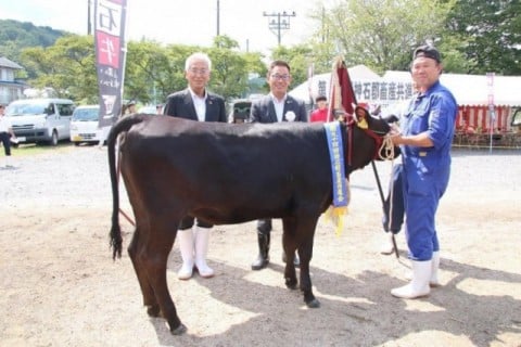 神石郡畜産共進会_よしかつふく号