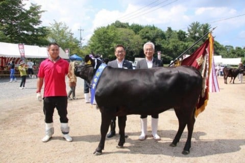 神石郡畜産共進会_たけもと373号