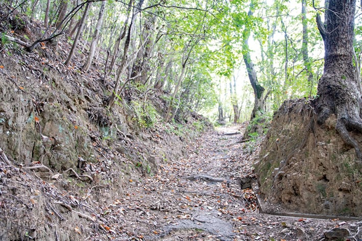 登山道